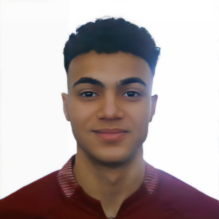 Seifeldin Mohamed A Abdelsalam